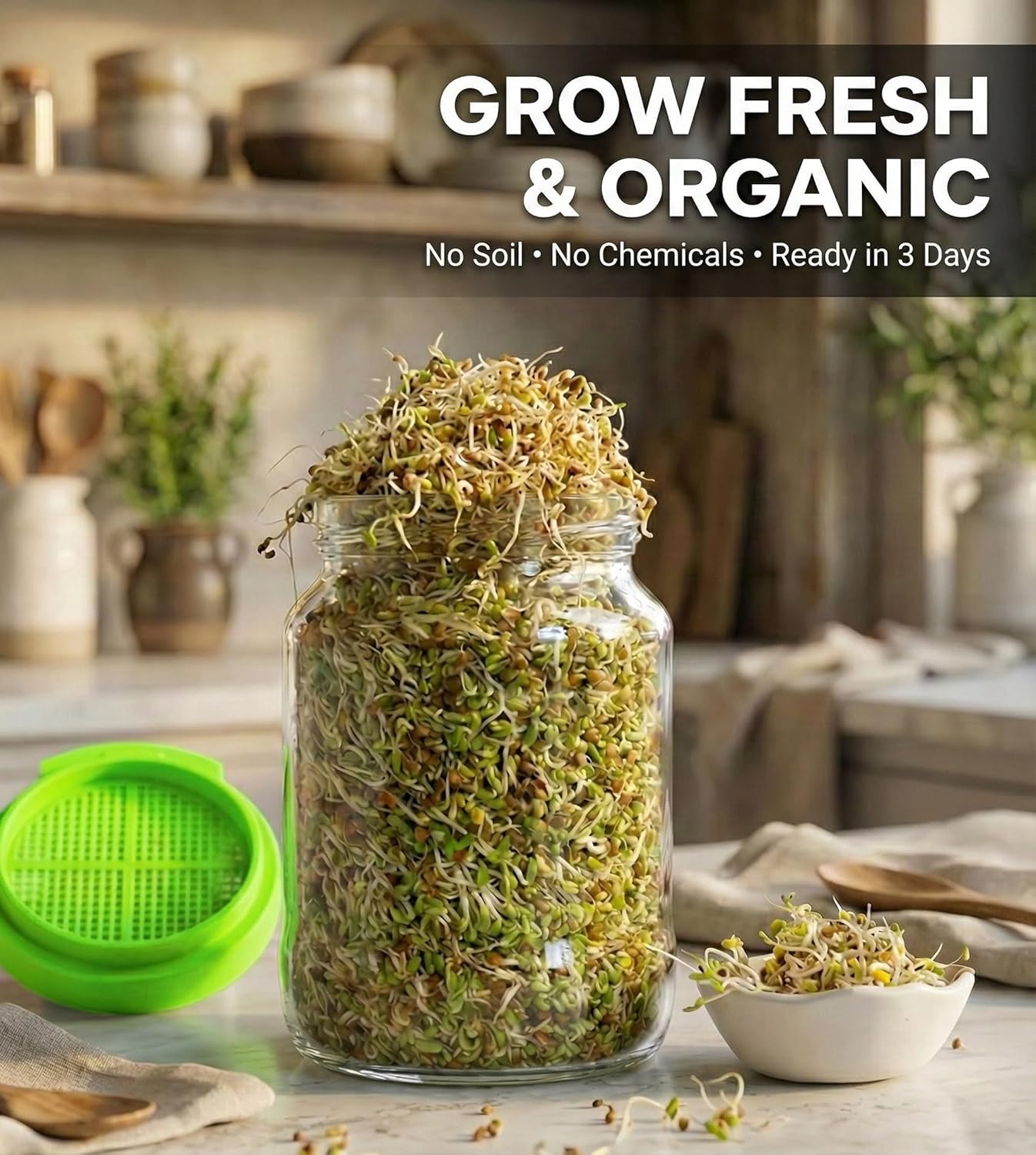 Glass Sprout Maker Jar with Smart Tilt Stand (NC-38)