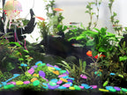 NightSpark Decorative Stones (NC-39)