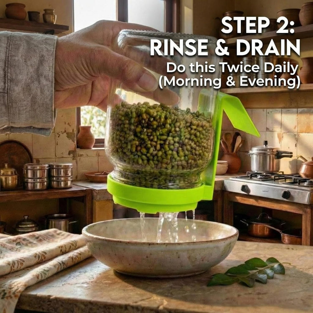 Glass Sprout Maker Jar with Smart Tilt Stand (NC-38)