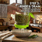 Glass Sprout Maker Jar with Smart Tilt Stand (NC-38)