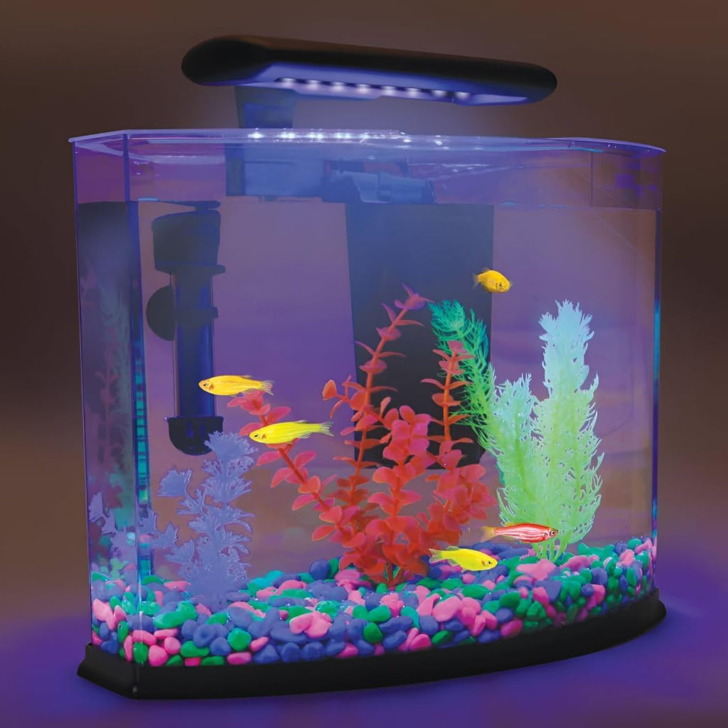 NightSpark Decorative Stones (NC-39)